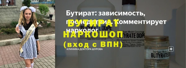 индика Богородицк